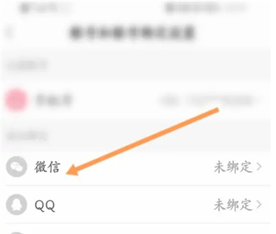 易次元苹果内购版下载安装