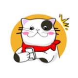 猫番 阅读
