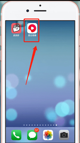 西瓜视频极速版