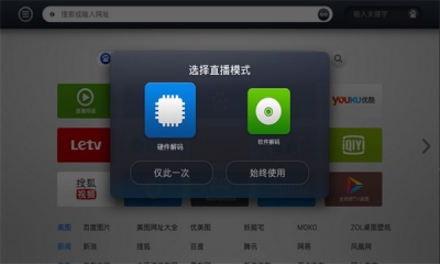 飞视浏览器tv版截图2