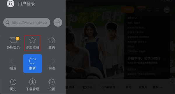飞视浏览器tv版