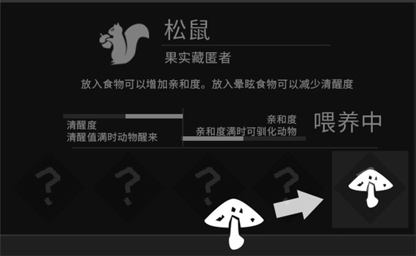 从零开始梦境体验服