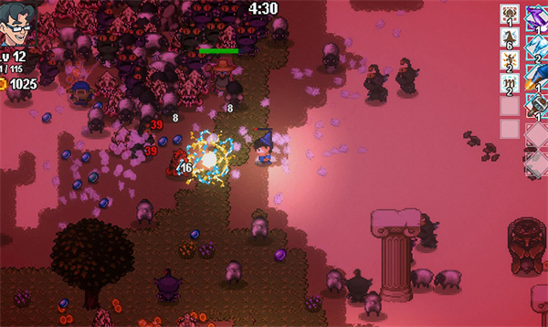 呆子幸存者精简版截图2