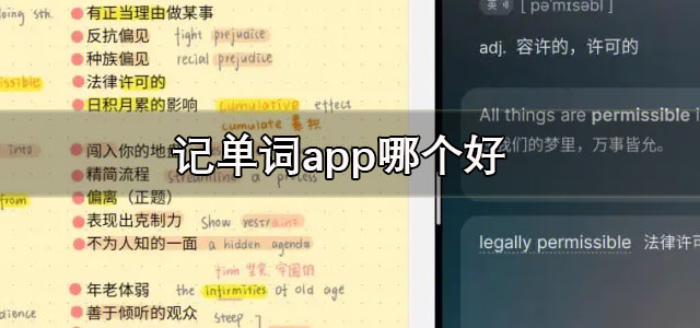 记单词