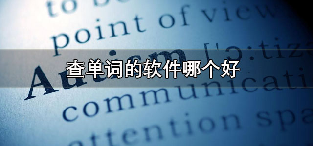查单词