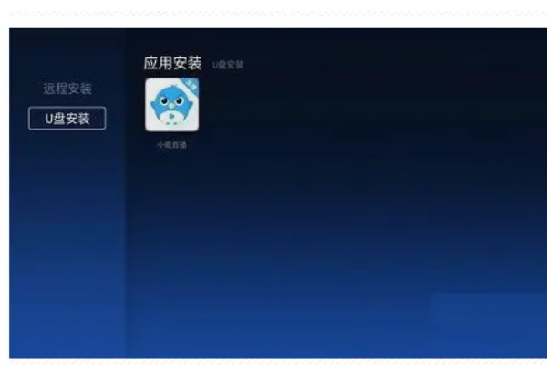 小薇直播电视版