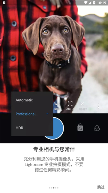 lightroom手机修图安卓版本截图2