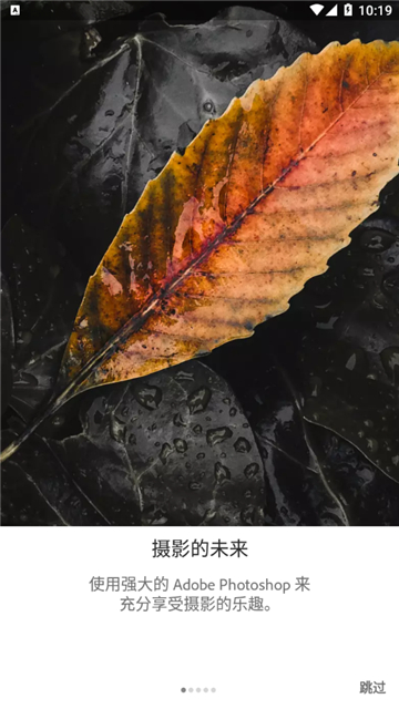 lightroom手机修图安卓版本截图4