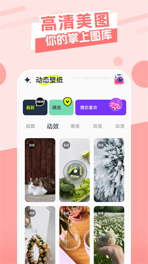 主题库pro仿苹果截图3