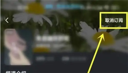 酷狗概念版去广告vip版