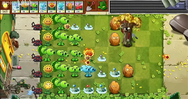 植物大战僵尸转基因版截图1