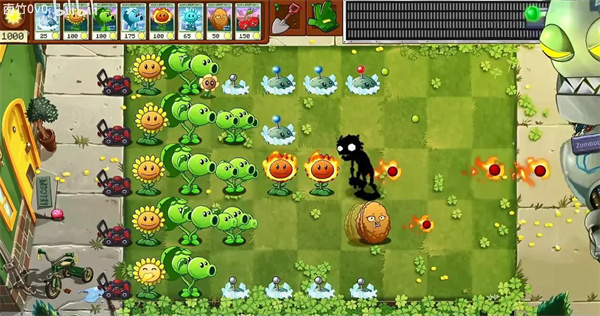 植物大战僵尸转基因版截图3