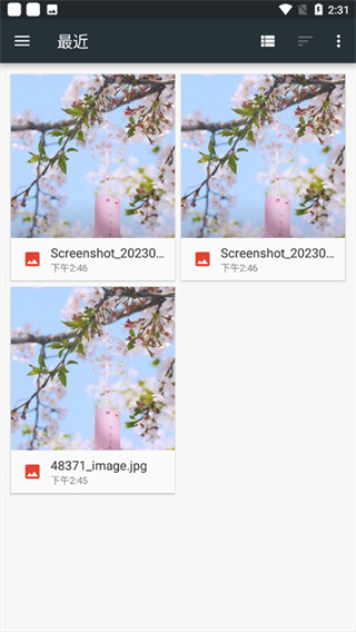 photoeditor中文版