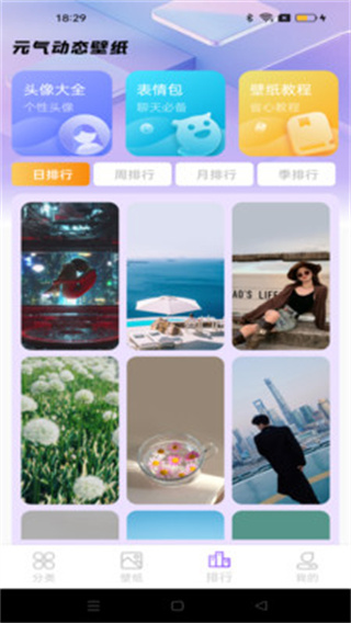 元汽动态壁纸截图2