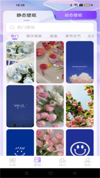 元汽动态壁纸截图3