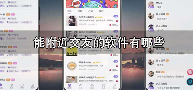 能附近交友的软件