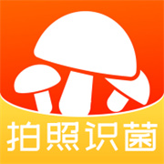 菌窝子下载 菌窝子（V4.1.8）最新版