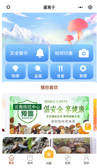 菌窝子