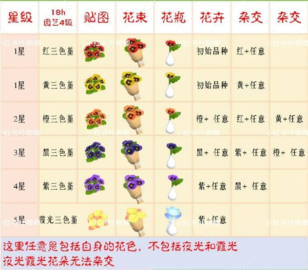 心动小镇手游2024最新版