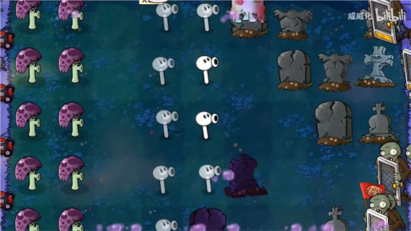 植物大战僵尸威化版截图1