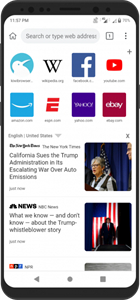 Kiwi浏览器手机版截图2