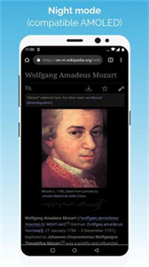 Kiwi浏览器手机版截图3