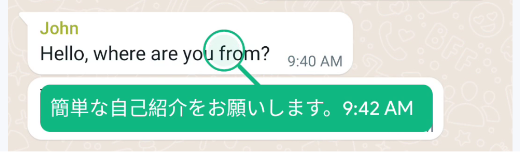 瞬译AI翻译专家