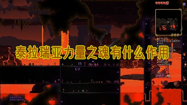 泰拉瑞亚力量之魂有什么作用