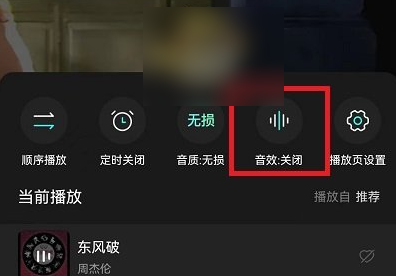 波点音乐app下载安装免费版