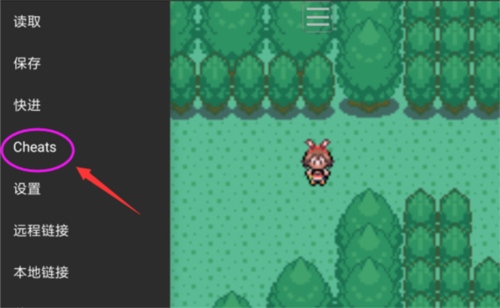 Myboy模拟器2.0.6中文版