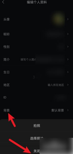 波点音乐免费听歌旧版下载