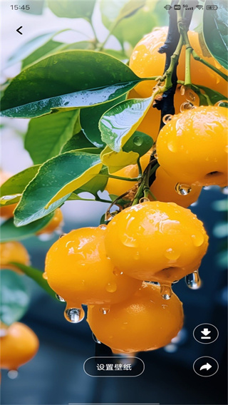 火萤壁纸精选截图1