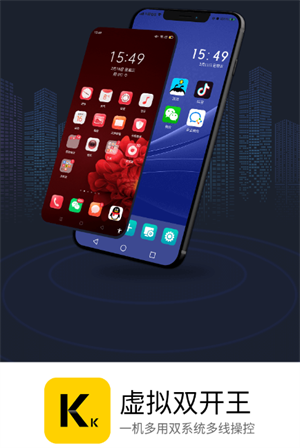 虚拟双开王