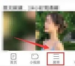 天马浏览器下载安装手机版