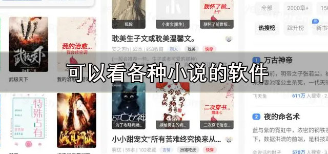可以看各种小说的软件