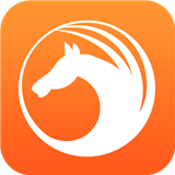 天马浏览器极速版下载安装