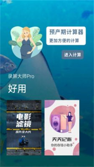 录屏大师Pro截图2