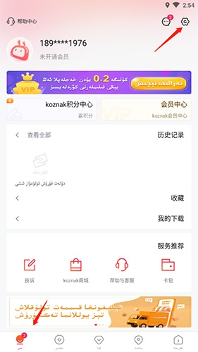 koznak电视机版维语版