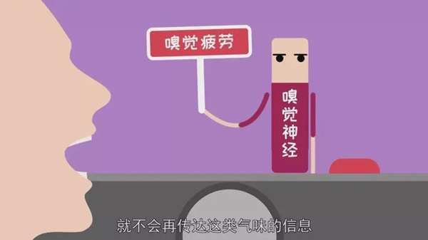 蚂蚁庄园:常听说视觉疲劳那会有嗅觉疲劳吗