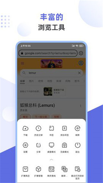 狐猴浏览器app下载老版本截图1