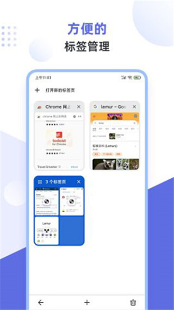 狐猴浏览器app下载老版本截图2