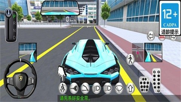 模拟驾驶精英截图1