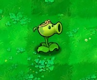 植物大战僵尸黑西游版中文版下载