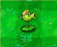 植物大战僵尸黑西游版中文版下载