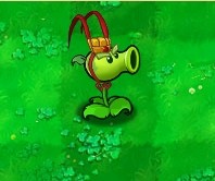 植物大战僵尸黑西游版中文版下载