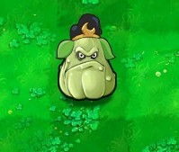 植物大战僵尸黑西游版中文版下载