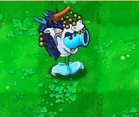 植物大战僵尸黑西游版中文版下载