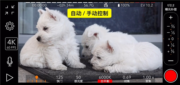 promovie专业相机