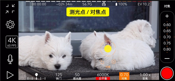 promovie专业相机