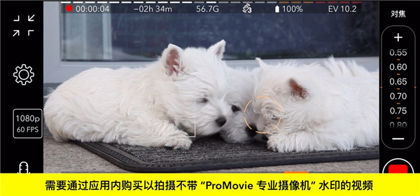 promovie专业相机
